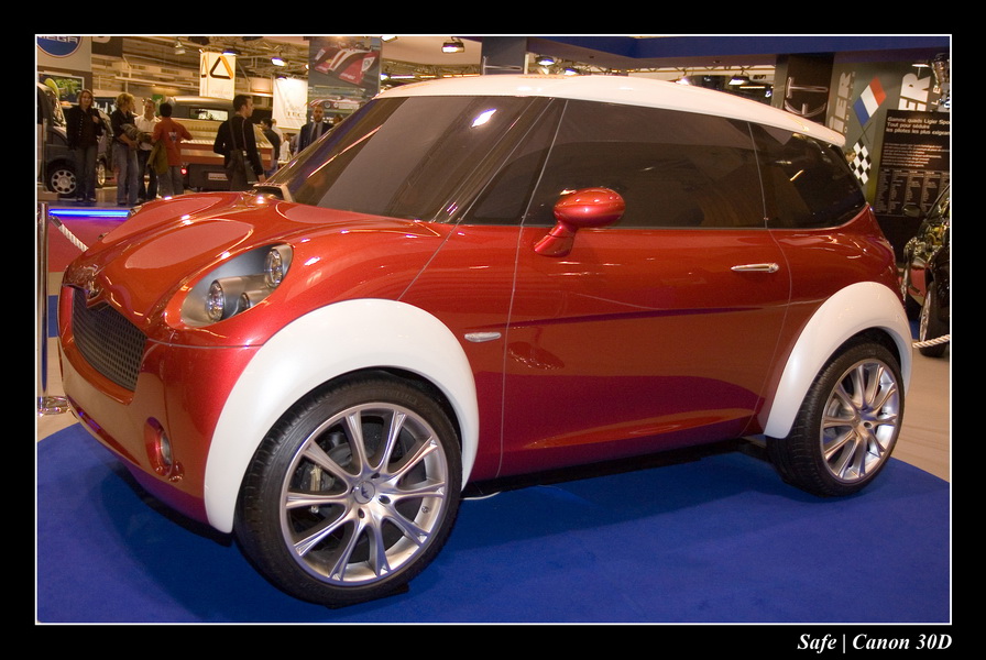 2006 - 10 - Mondial auto Paris 221